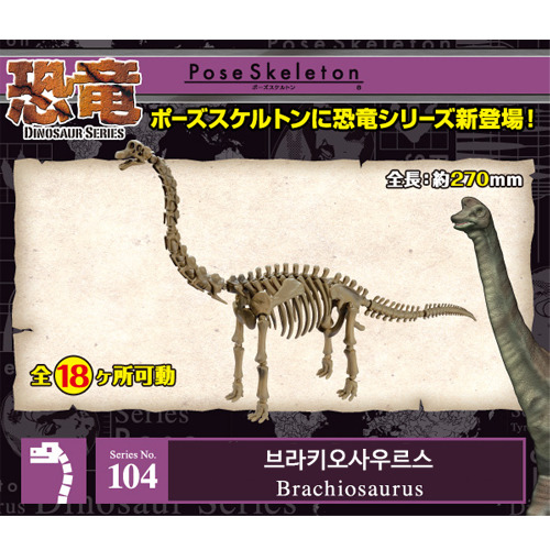 리멘트 포즈스켈레톤 공룡시리즈 104 브리키오사우러스 