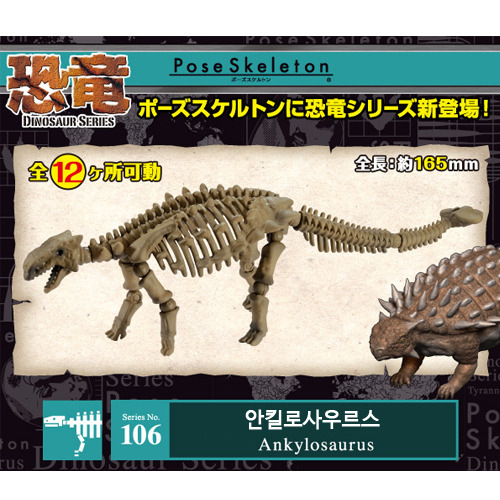 리멘트 포즈스켈레톤 공룡시리즈 106 안킬로사우러스